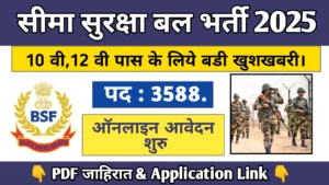 BSF Bharti 2025